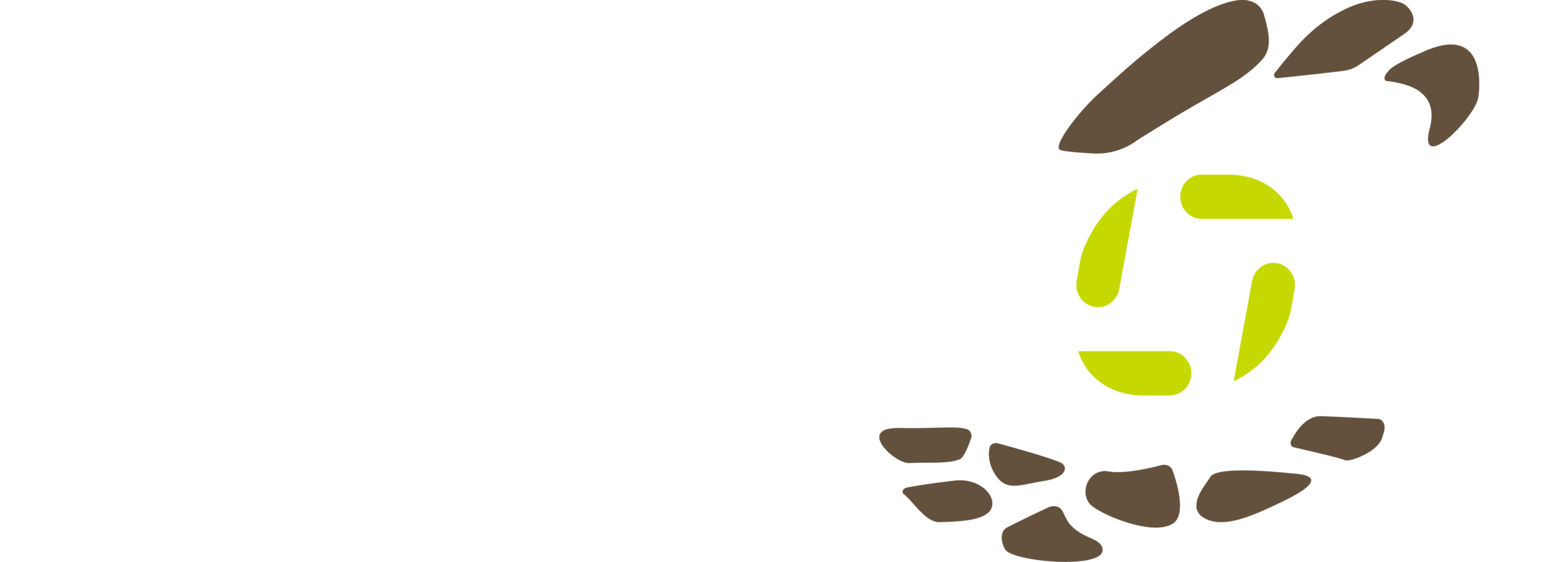 Dexhor – Pompes industrielles